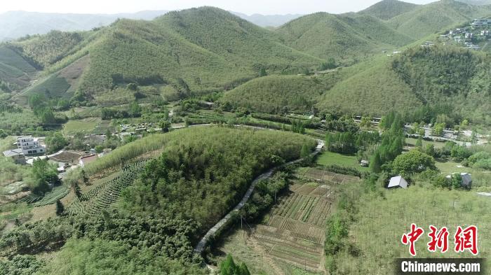 2025环浙步道系列赛正式开赛，千名“侠客”竞逐